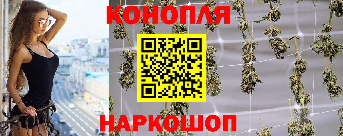 Конопля Bruce Banner  Вход с VPN  Конопля гибрид  Вольск  Бошки марихуана индика 